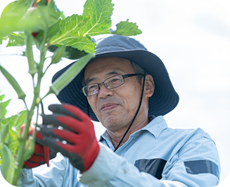年配の農家さん